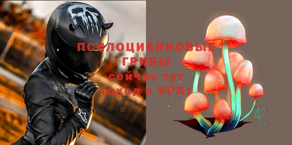 прущие крисы Верхний Тагил