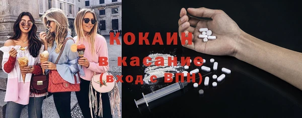 прущие грибы Волоколамск