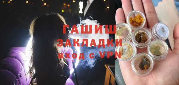 прущие грибы Волоколамск